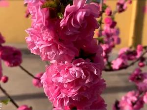 静心养老院-视频