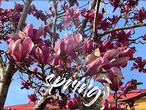 洛阳养老公寓-视频