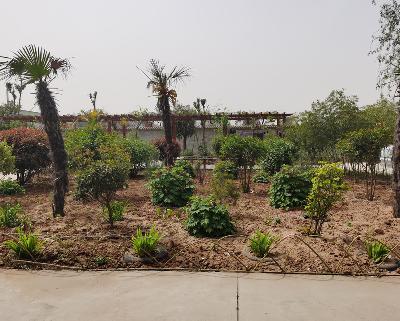 院落里草木芬芳、花草虫鱼、生机盎然